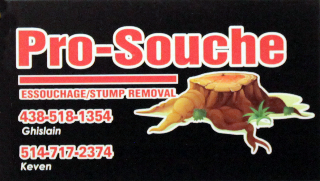 Enlèvement de souches professionnel.